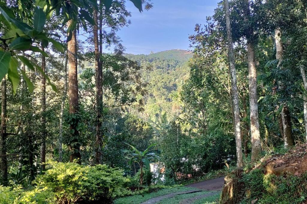 Coffee Camp Home Stay With Tree House Kattappana Luaran gambar