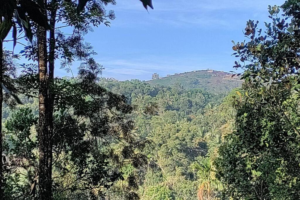 Coffee Camp Home Stay With Tree House Kattappana Luaran gambar