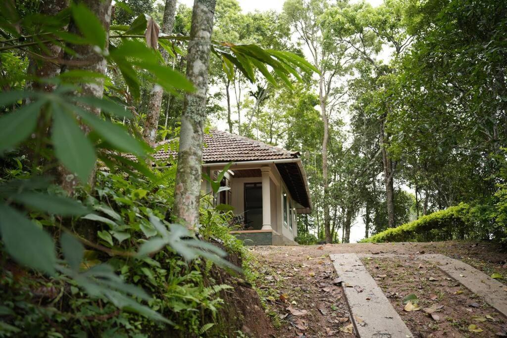 Coffee Camp Home Stay With Tree House Kattappana Luaran gambar