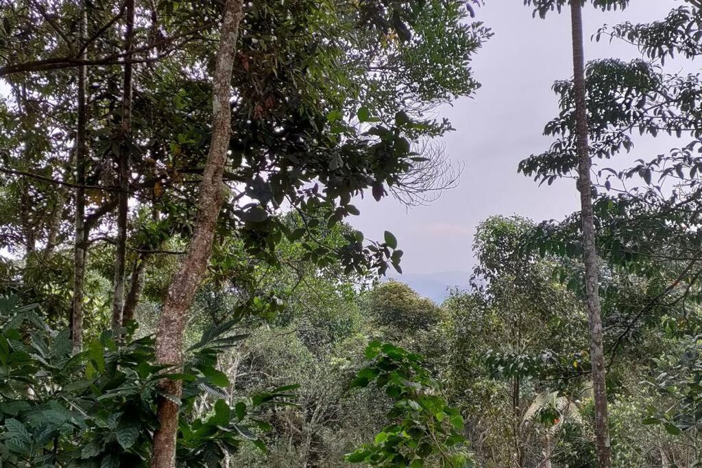 Coffee Camp Home Stay With Tree House Kattappana Luaran gambar