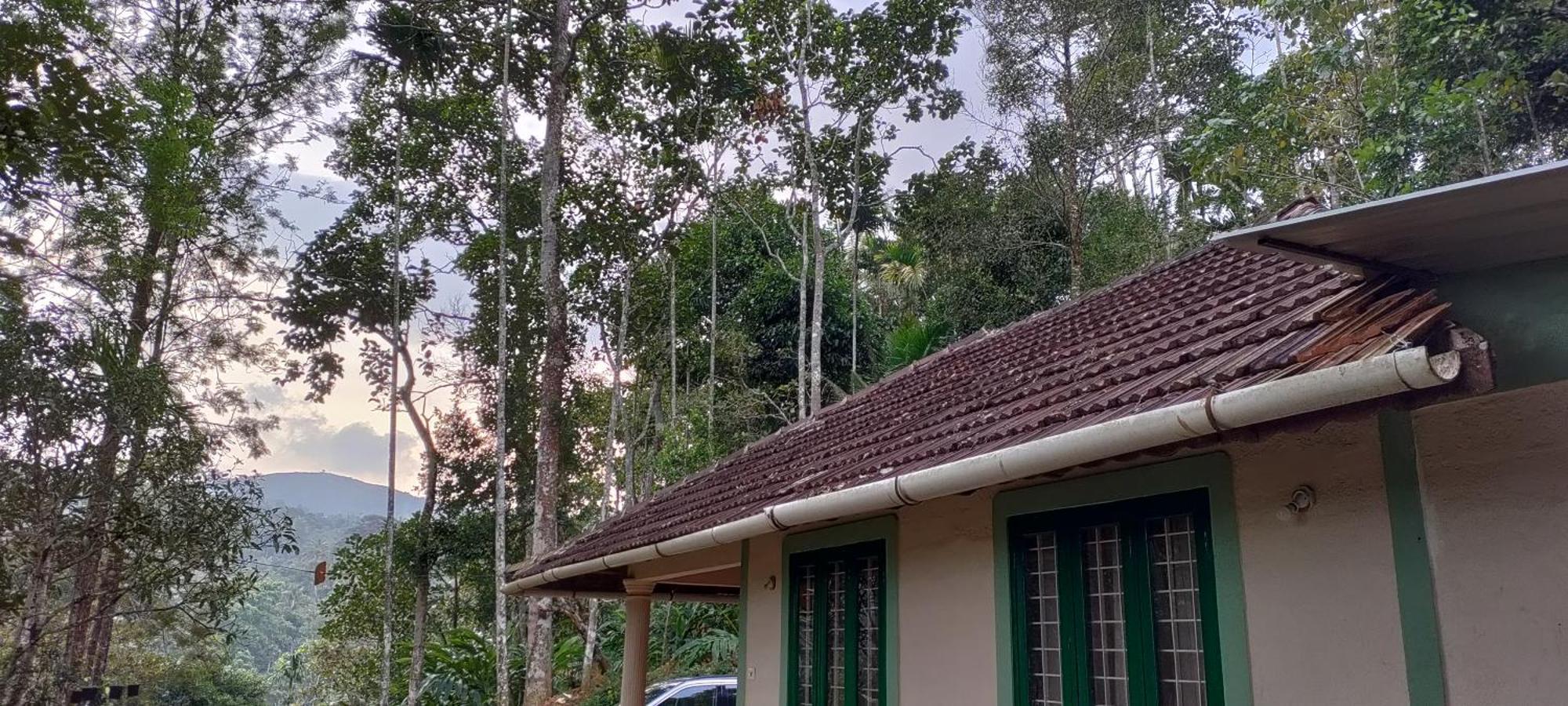 Coffee Camp Home Stay With Tree House Kattappana Luaran gambar