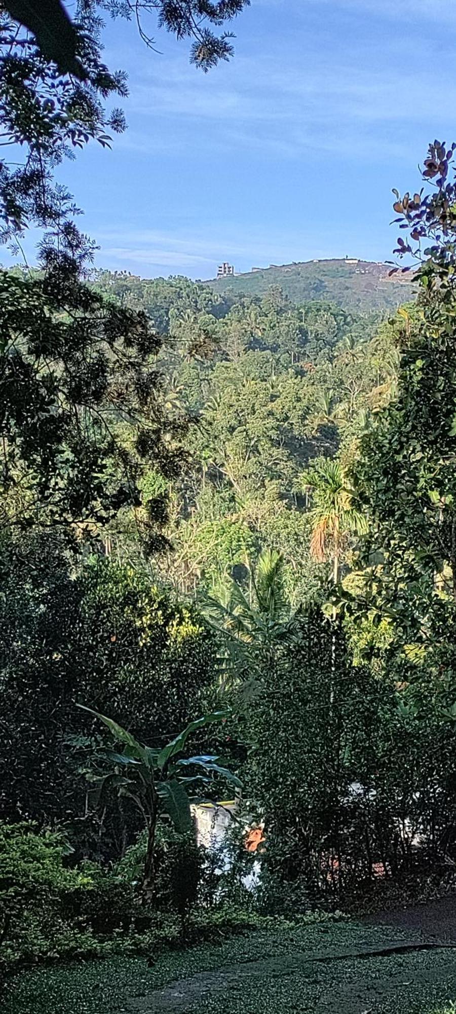 Coffee Camp Home Stay With Tree House Kattappana Luaran gambar