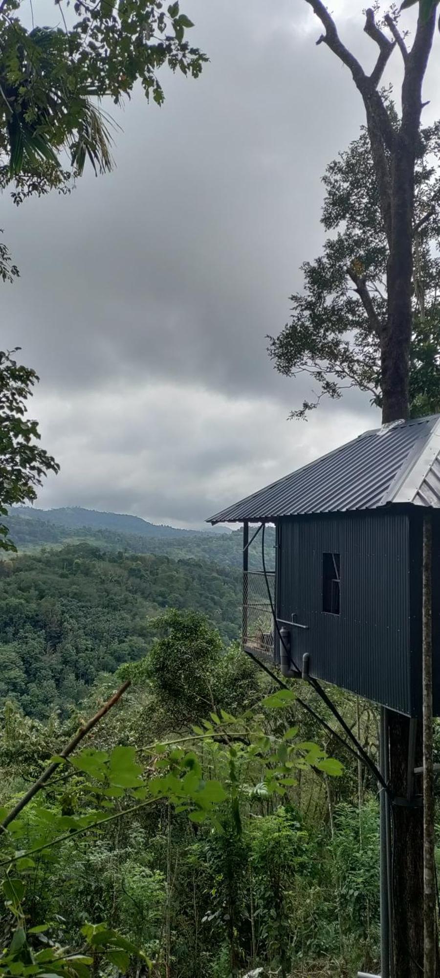 Coffee Camp Home Stay With Tree House Kattappana Luaran gambar