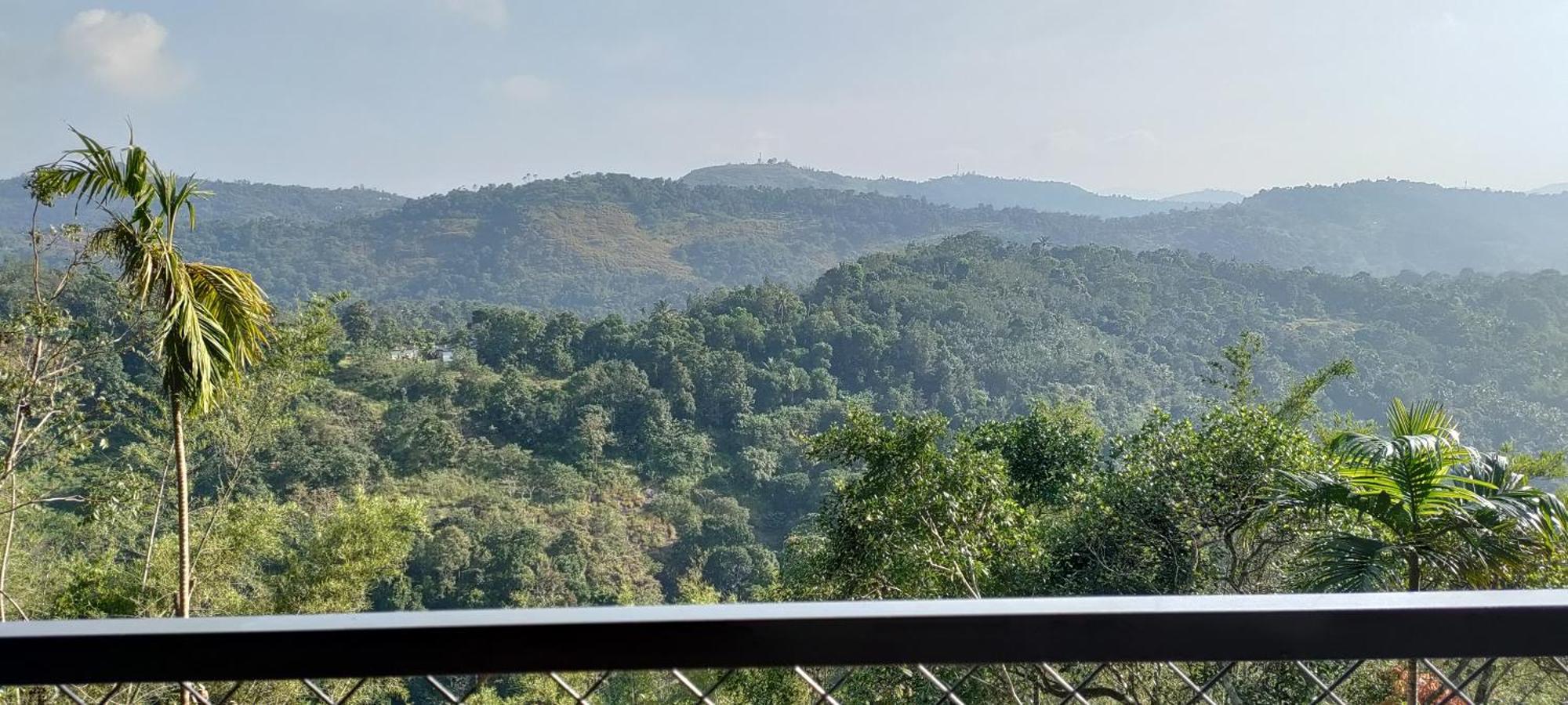 Coffee Camp Home Stay With Tree House Kattappana Luaran gambar